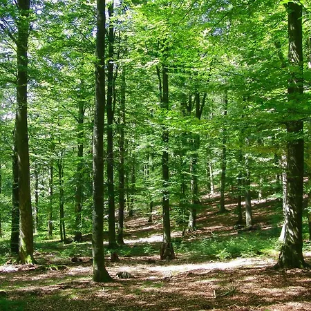 La Tabatiere
