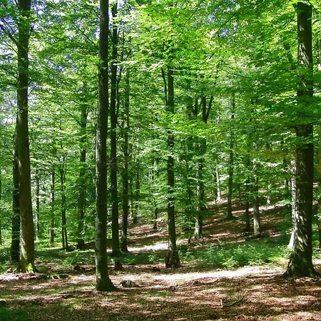 La Tabatiere